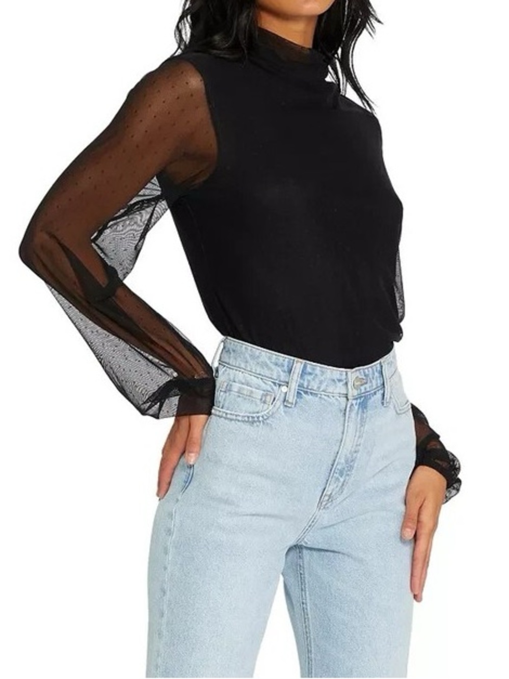 Sanctuary Sheer Mesh Mock Neck